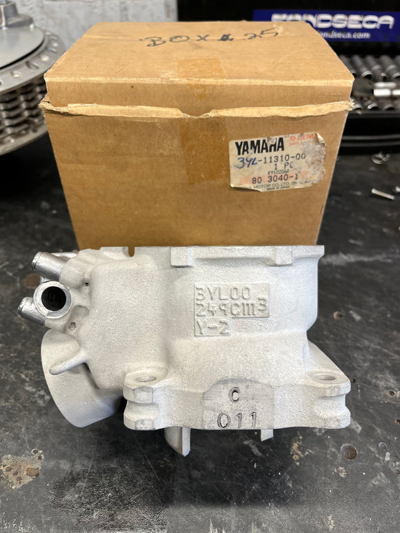 Yamaha TZ250 B 3YL New Cylinder 3YL-11310-00