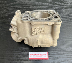 Yamaha TZ250 Cylinder, New 1RK-11310-00 1986-1987